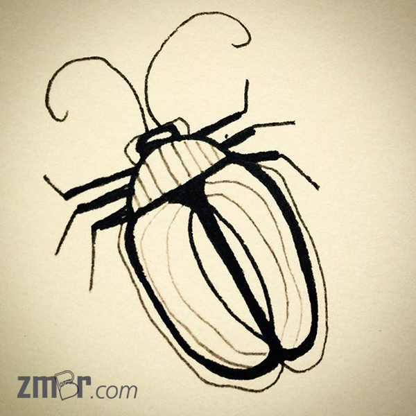 ink beetle